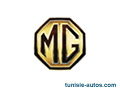 Mg